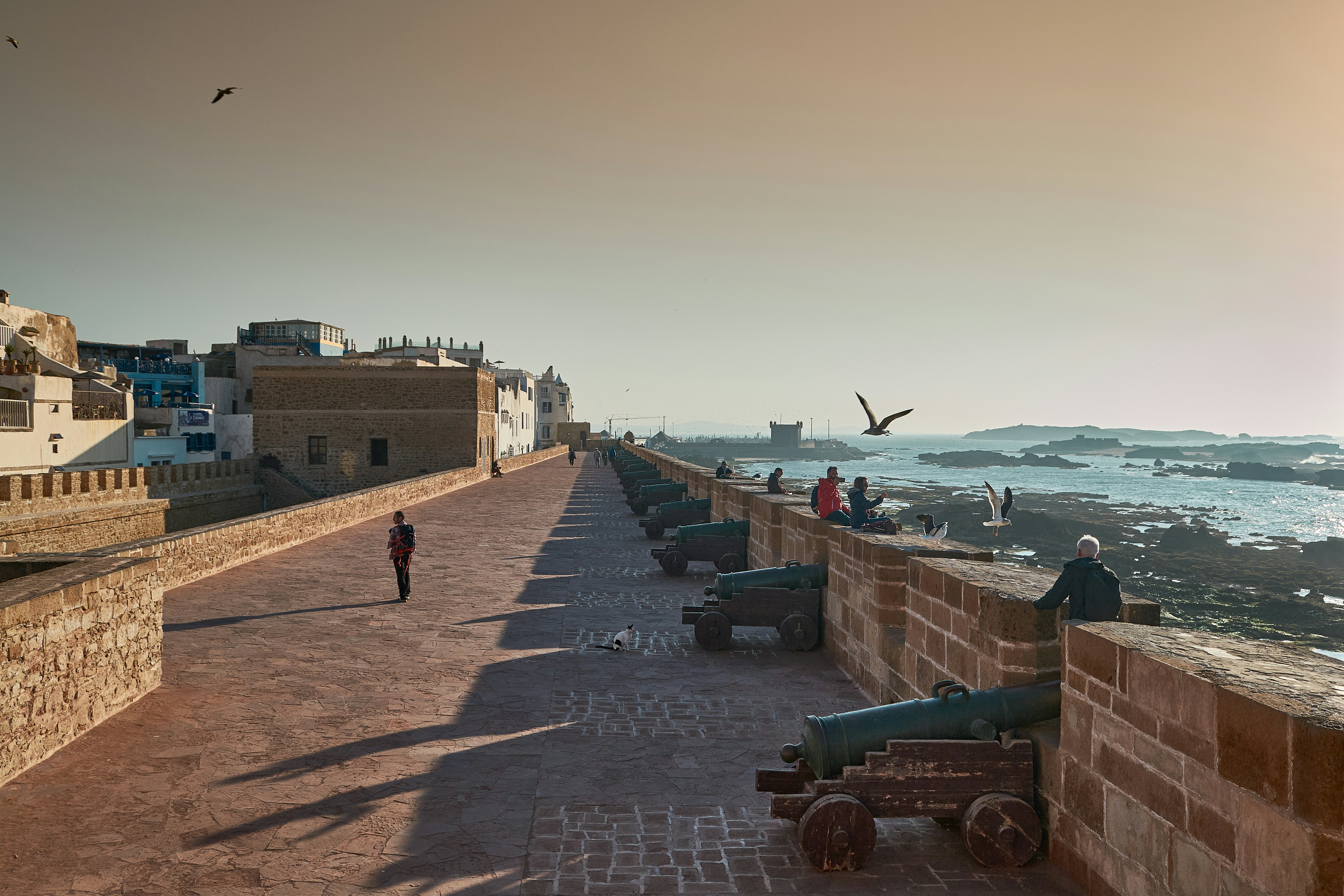 Road Trip Marrakech–Essaouira: Which Car Should You Rent?